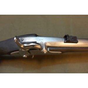 Richmond Razeed Carbine from M1861