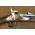 1863 Springfield Artillary 32"