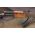 JRA Yugoslavian M72 RPK