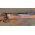 K98 Mauser original German