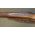 Model 1917 Eddystone