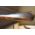 Johnson London Double Barrel 12 Ga. Percussion