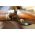 Johnson London Double Barrel 12 Ga. Percussion