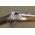Model 1861 Norfolk Contract 1863 dated