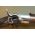 1861 Richmond Razeed Rifle 1864 Providence