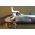 1861 Colt Special