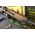 M1 Carbine Restoration Services - USGI ONLY