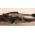 Richmond Type 1 Musket