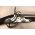 M1816 Springfield 1838 Percussion Conversion