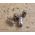 .58 Cal. Minie Balls