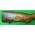 1903A4 Sniper rifle!