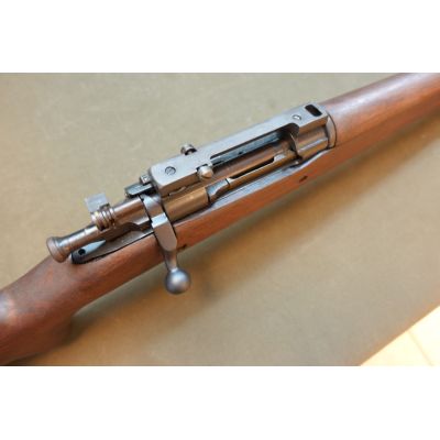 1903A4 Clone